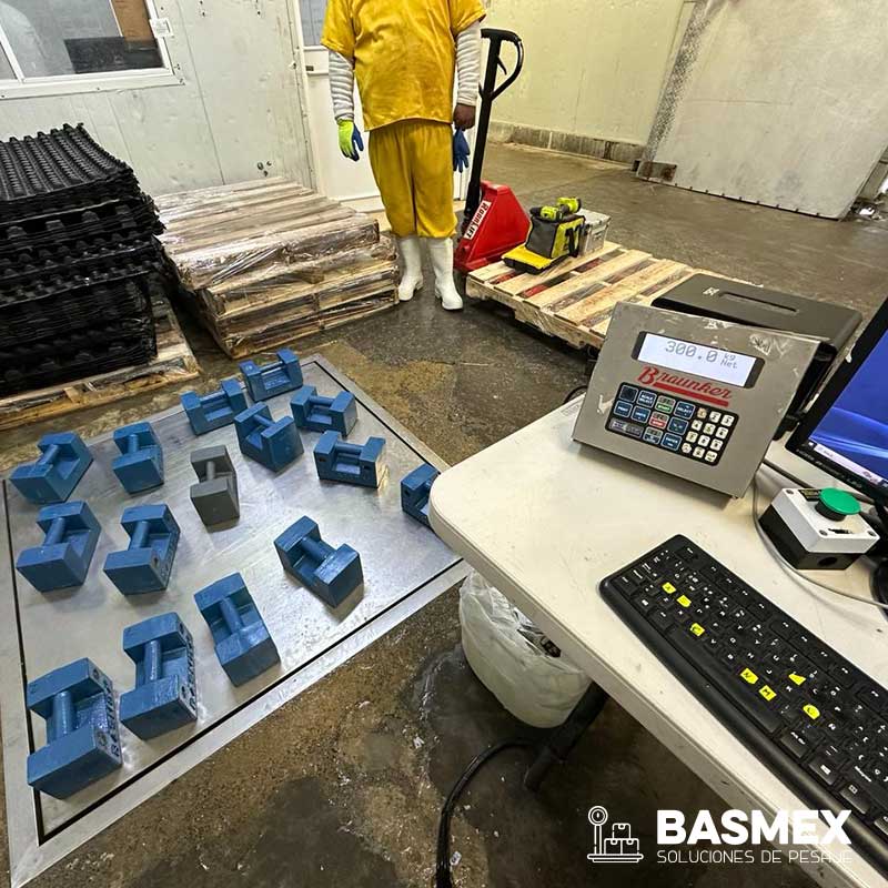 Calibración de básculas en Guadalajara con certificación EMA Profeco
